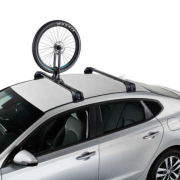 Cruz roof wheel carrier - Special Order Only