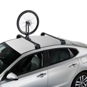 Cruz roof wheel carrier - Special Order Only